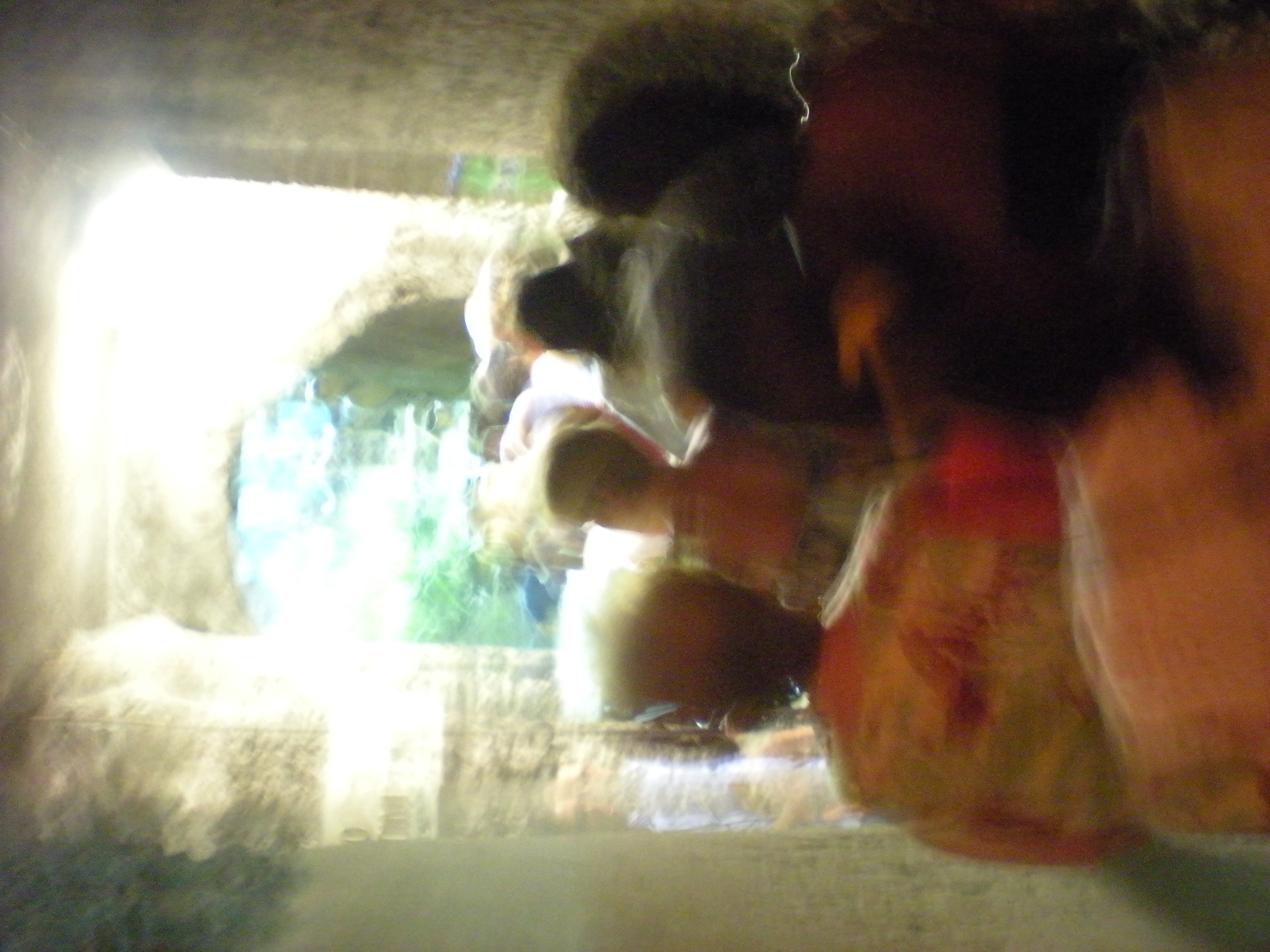 DSCN6209.JPG